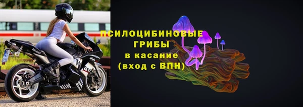 PSILOCYBIN Куйбышев