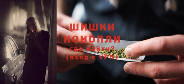 стафф Кулебаки