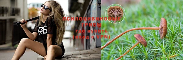 МДПВ Кукмор